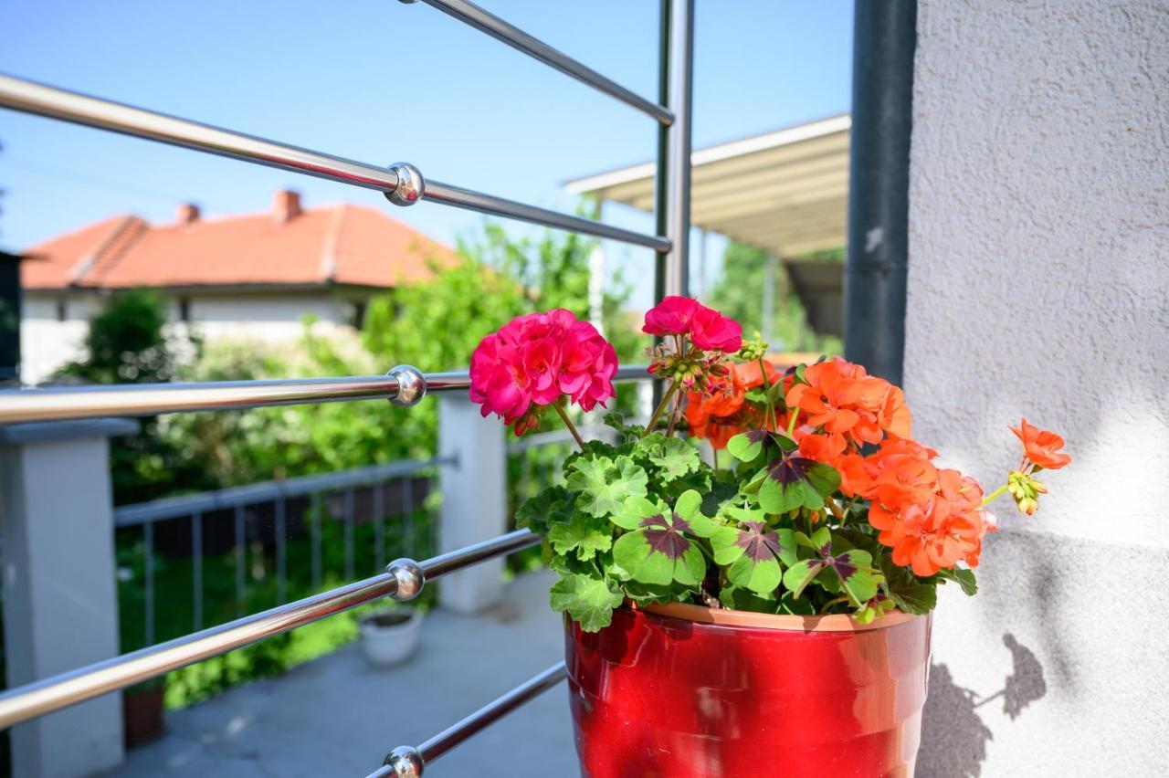 Apartman Mira SJJ Exterior photo